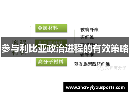 参与利比亚政治进程的有效策略